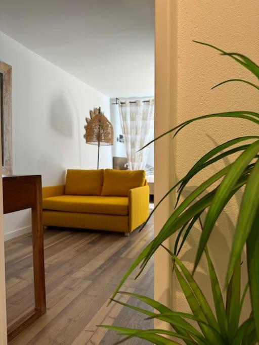 코스타 다 카파리카 Petite Maison De Plage 아파트 외부 사진