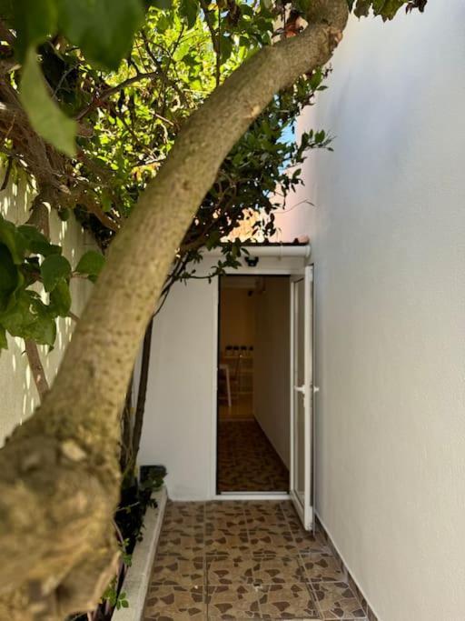코스타 다 카파리카 Petite Maison De Plage 아파트 외부 사진